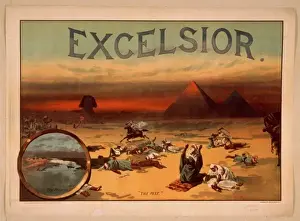 Excelsior