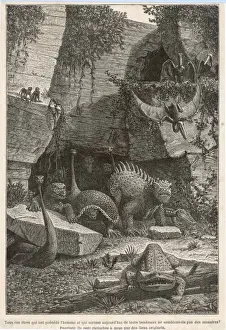 Extinct Birds Drucke: Extinct Animals 19C