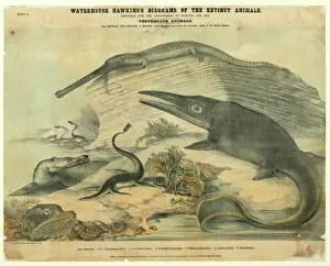 Ausgestorbene Meerreptilien
