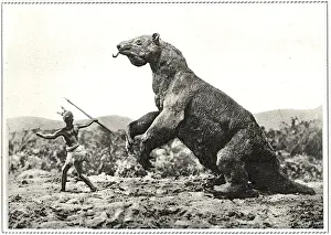 Ausgestorben / Megaschelid der Südamerika