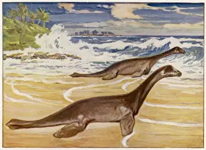 Prehistoric Sea Creatures Drucke: Extinct / Plesiosaurs