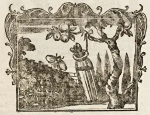 Historical Garden Scene Drucke: Fable / the Two Bees