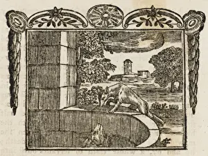 Drucke von Ein Fuchs und ein Hirsch springen in einen Brunnen zu trinken. Sie sind sehr durstig und können nicht entkommen. Der Fuchs schlägt vor, dass der Hirsch auf ihn klettern soll; dann läuft er davon Äsop Drucke: Die Fabel / der Fuchs und die Ziege