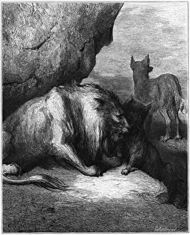 Drucke von Der Lowe, der Wolf und die Fuchs: Ein alter Lowe sucht nach einer Heilung und ruft seine Tiere zusammen. Der Wolf beschimpft den Fuchs; aber am Ende kommt er dem schlechtesten ab Äsop Drucke: Rätsel / Löwe, Wolf und Fuchs