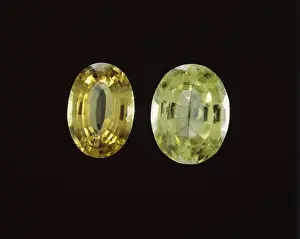 Fasziertes Chrysokalyphit