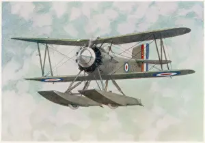 Royal Navy Aviation History Drucke: FAIREY FLYCATCHER