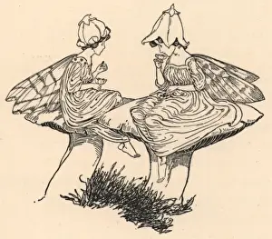 Historical Fairy Illustrations Drucke: Two fairies sitting on toadstools