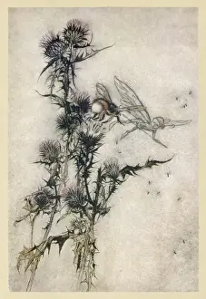 Fairy und Bienen