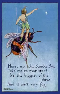 Early 20th Century Illustration Drucke: Fairy on a bumblebee