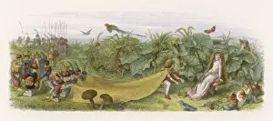 Whimsical Fairy Illustrations Drucke: Fairy Courtship / Doyle