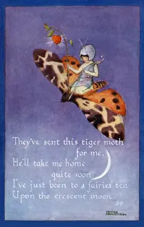 Postcard Collection For Kids Drucke: Fairy on a moth
