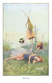 Fairyland