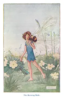 Fairyland