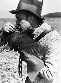 Falckjagd : Fütterung