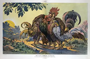 Puck Magazine Art Drucke: The false loves of chantecler