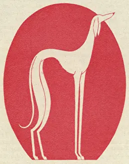 Fantasiegreyhund 1928