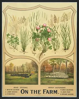 Rural Farming Scenes Drucke: On the farm