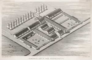 Britain Farming History Drucke: Farm Steading