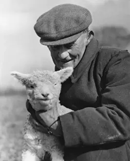 British Farming History Drucke: Farmer & Lamb