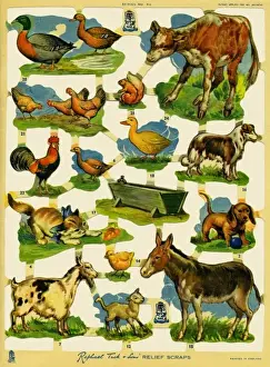 Old Fashioned Farming Methods Drucke: Farming scraps