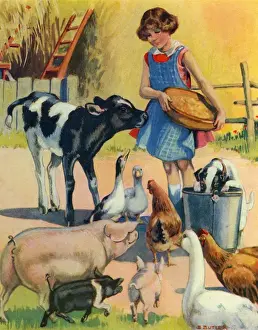 Farm Animal Illustrations Drucke: Farmyard animals