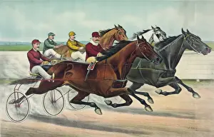 Racing Horses Drucke: A fast heat