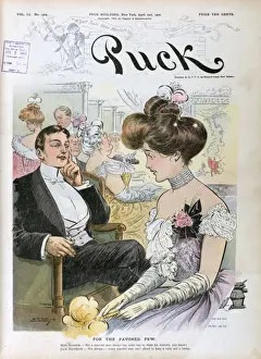 Puck Magazine Cartoons Online Drucke: For the favored few