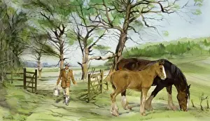 Farming In The Countryside Drucke: Feeding the horses