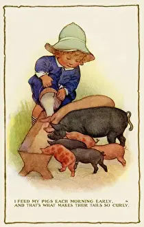 Postcard History UK Drucke: Feeding pigs