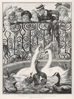 Historical England Drucke: Feeding the Swans / 1901