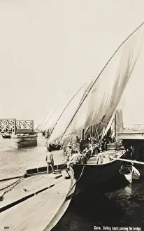 Nile River Boats Drucke: Feluccas and Dhows, Egypt