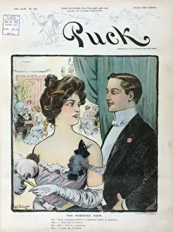 Puck Magazine Illustrations Online Drucke: The feminine view