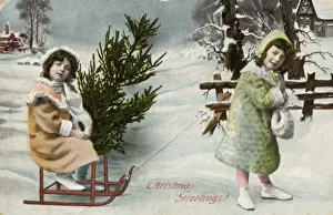 Winter Scene Drucke: Fetching Tree on Sledge