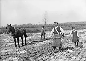 Early 20th Century Agriculture Drucke: Fiddle Sowing and Harrowing
