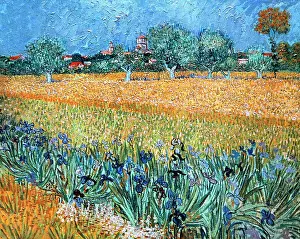 Botanisch Drucke: Berg mit Blumen in der Nähe von Arles durch Van Gogh