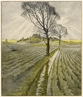 Autumn Fields Drucke: Fields in Autumn