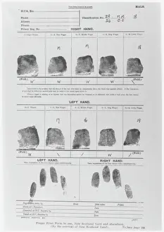 Drucke von Abdrücke auf einem Fingerabdruckblatt aus dem Kriminalregister der Polizei von Neuschottland, Metropolpolizei Verwandte Bilder Drucke: Abdruckblatt