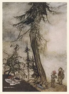 Historical Art Prints Online Drucke: Fir Tree and Bramble
