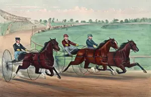 Vintage Horse Racing Art Drucke: Well together at the first turn