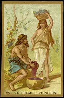 Vintage Agriculture Images Drucke: First Vineyard