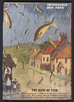Welsh Village Scene Drucke: Fish Fall from Sky