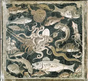 Fischmosaik aus Pompeji