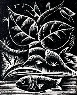River Scenery Photography Drucke: A fish swimming in a river