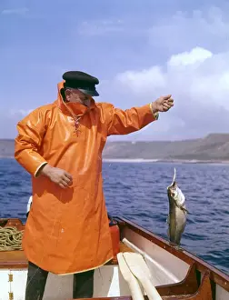 Cornwall Fishing Industry Drucke: Fisherman with pollock, Lands End, Cornwall