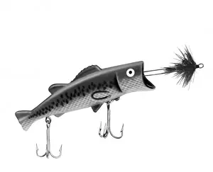 Anglerklemme