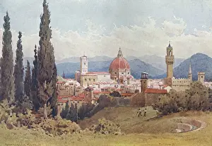 Historic Florentine Architecture Drucke: Florence / Distant View