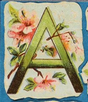 Antique Flower Illustrations Drucke: FLOWER A