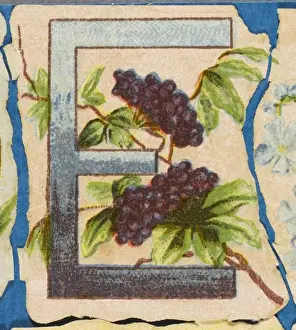Antique Flower Art Drucke: FLOWER E
