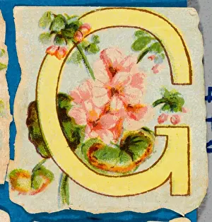 Antique Botanical Prints Drucke: FLOWER G