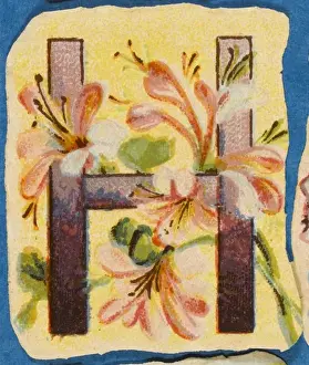 Vintage Floral Art Drucke: FLOWER H